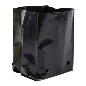 Rje Plant Bag 75X50X180Mm Gf2 0.75L 50 P/Pack image
