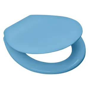 Wirquin Toilet Seat Club Thermodur Blue 1.5Kg image