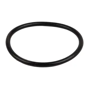 Kaufmann 800W Pool Pump O-Ring image