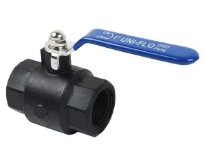 Valve Ball Nylon 25Mm image