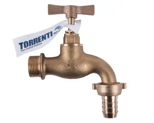 Torrenti Tap Brass Hose H/Duty 20Mm image