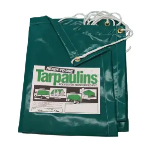 Protarp Pvc Tarpaulin 550G 4X6M Grn image