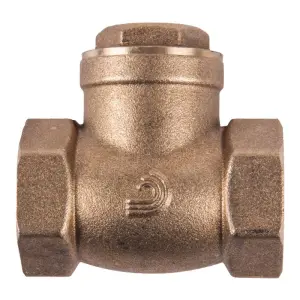 Torrenti Valve Swing Check Brass 32Mm image