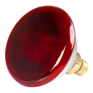 Poltek Lamp Infrared 175W image