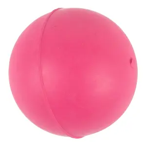 Complete Dog Toy Solid Rubber Ball image