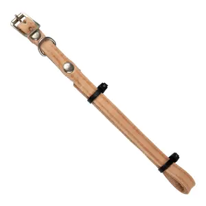 Complete Collar Stitched Leather 10 X 300Mm image