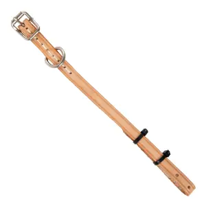 Complete Collar Stitched Leather 12 X 350Mm image