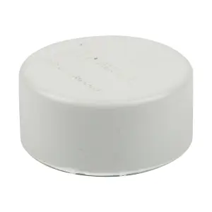 Waste End Cap Female Sv 40Mm Sabs image