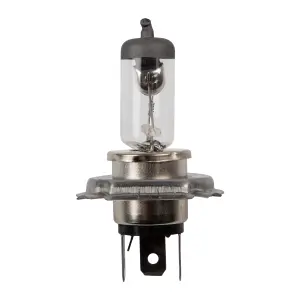 U-Part Globe 24V 75/70W Halogen H4 P43T Hg6 1Pack image