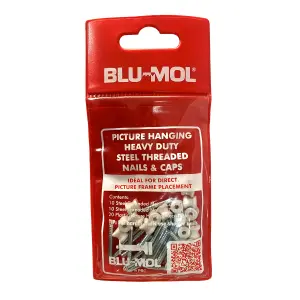 Blu-Mol Heavy Duty Steel Threaded Nail&Cap 22&27Mm image