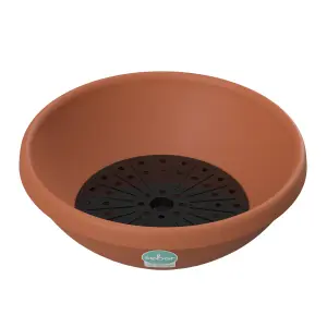 Sebor Solar Dish With Grid Set 35Cm Namib Dune image