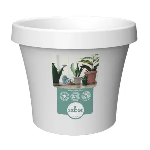 Sebor Super Pot 15Cm White Water image