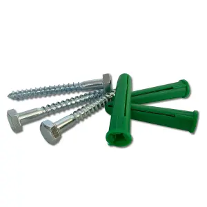 Ifasten Coach Screw M8X60Mm & Wall Plug Green 5 Pp image