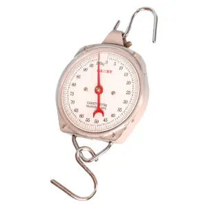 Camry Scale Suspended 100Kg image