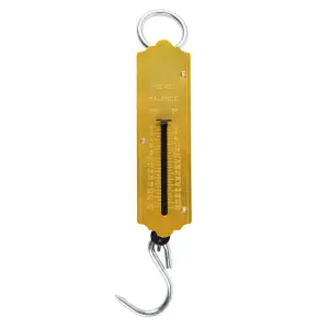 Pocket Type Scale 25Kg image