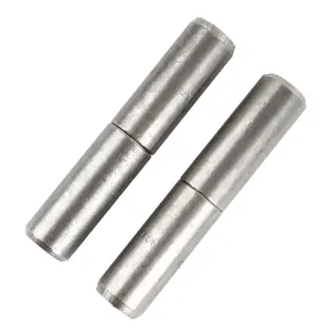 Bullet Hinge 100X20 Each image