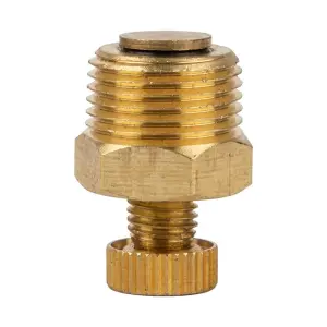 Rockworth Compressor Drain Valve - 100/150/200L image