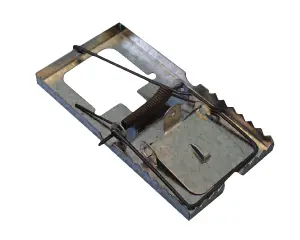 Mouse Trap image