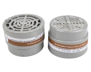 Kaufmann Respirator Cartridge For Dust 2Pk image