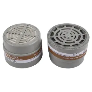 Respirator Cartridge A1P2 2 Pack image