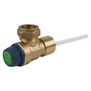 Advanced Valve Temp & Relief Fi 20Mm 600Kpa image