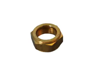 Compression Brass Cap Nut 22Mm Sabs image