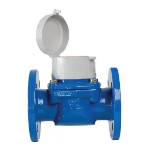 Water Meter 80Mm Woltman Infinity Evo Class B image