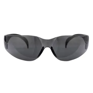 Pioneer Glasses Vision Sporty Anti-Scratch Grey image