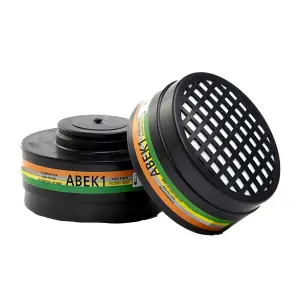 Pioneer Cartridge Safety Filter A1P2 2 Per Pack image