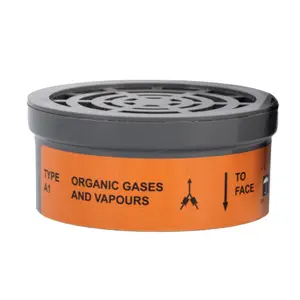 Pioneer Cartridge Safety Filter A1 1 Per Pack image