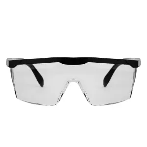 Pioneer Spectacles Euro Clear Price P/Ea 12 Pack image