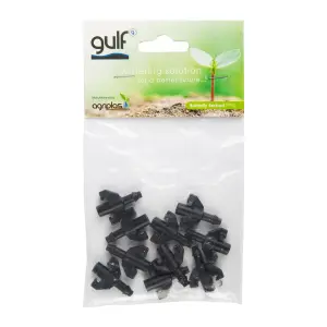 Gulf Pre Pack Butterfly Barb (10Pk) image