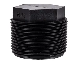 Insert Plug Bsp 20Mm image